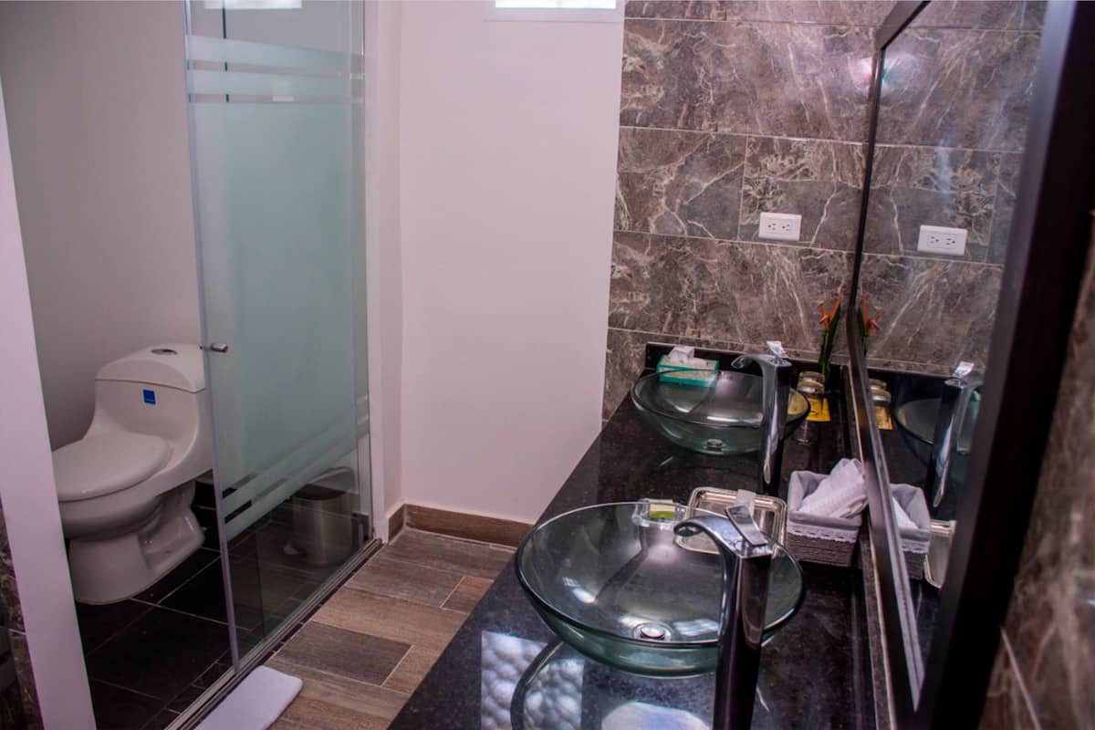 shower, free toiletries, hair dryer, bidet