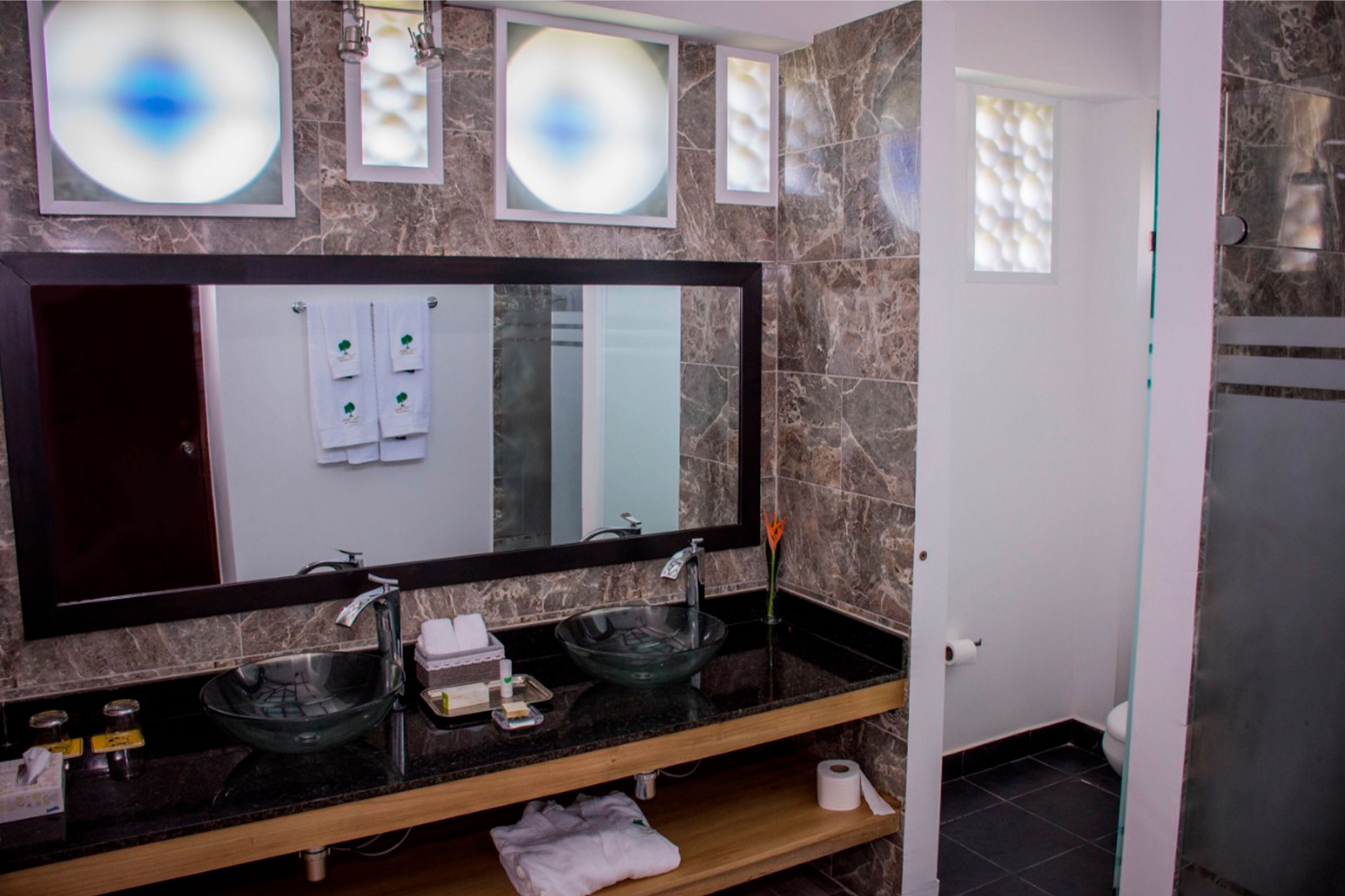 shower, free toiletries, hair dryer, bidet