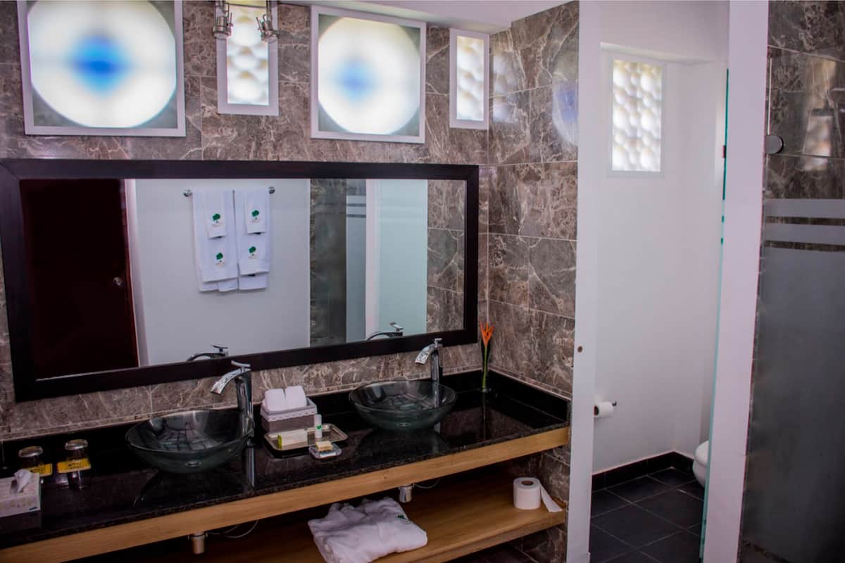 shower, free toiletries, hair dryer, bidet