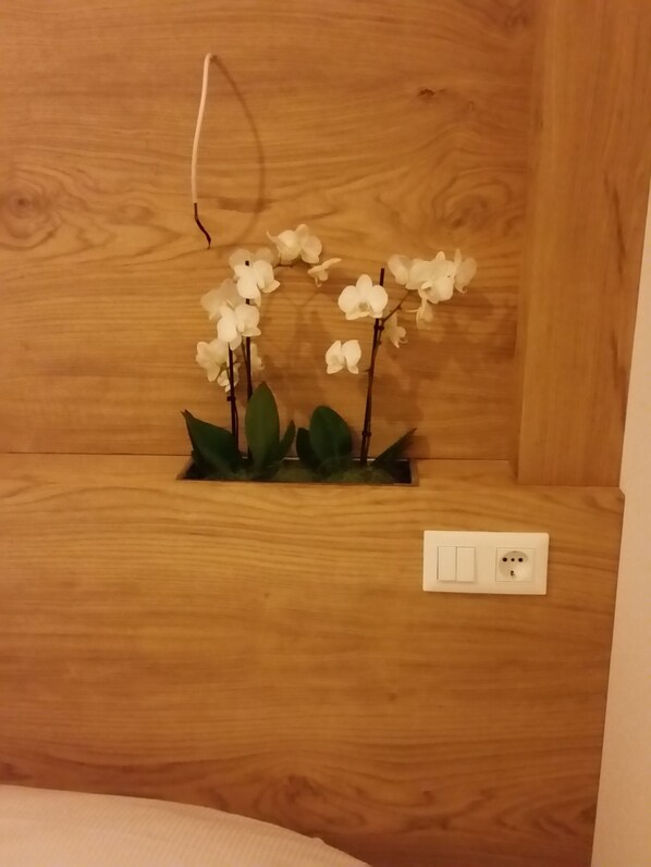 A wooden shelf with a white orchid plant and a power outlet.