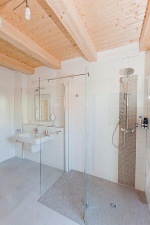 シャワー、ヘアドライヤー、石鹸、トイレットペーパー