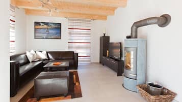 Smart TV, fireplace, DVD player, books