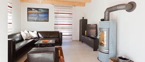 TV connectée, cheminée, lecteur de DVD, livres