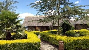 A traditional thatched-roof building surrounded by well-maintained hedges and a gravel path. - Sunbird Lodge Elementaita (Nakuru)