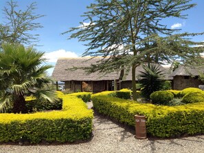 Garden - Sunbird Lodge Elementaita (Nakuru)