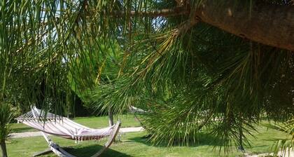 REST AND RELAXATION AT THE COTTON ORCHARD. Free parking.