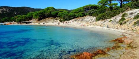 Plage à proximité