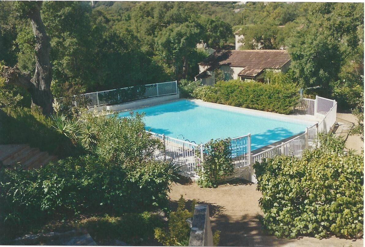 A rectangular swimming pool surrounded by a white fence, with lush greenery and trees in the background.