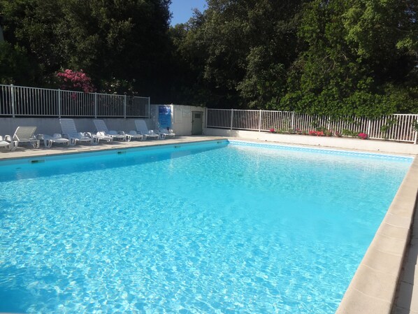 Une piscine rectangulaire à l’eau d’un bleu limpide, entourée d’une clôture blanche et de chaises longues blanches.
