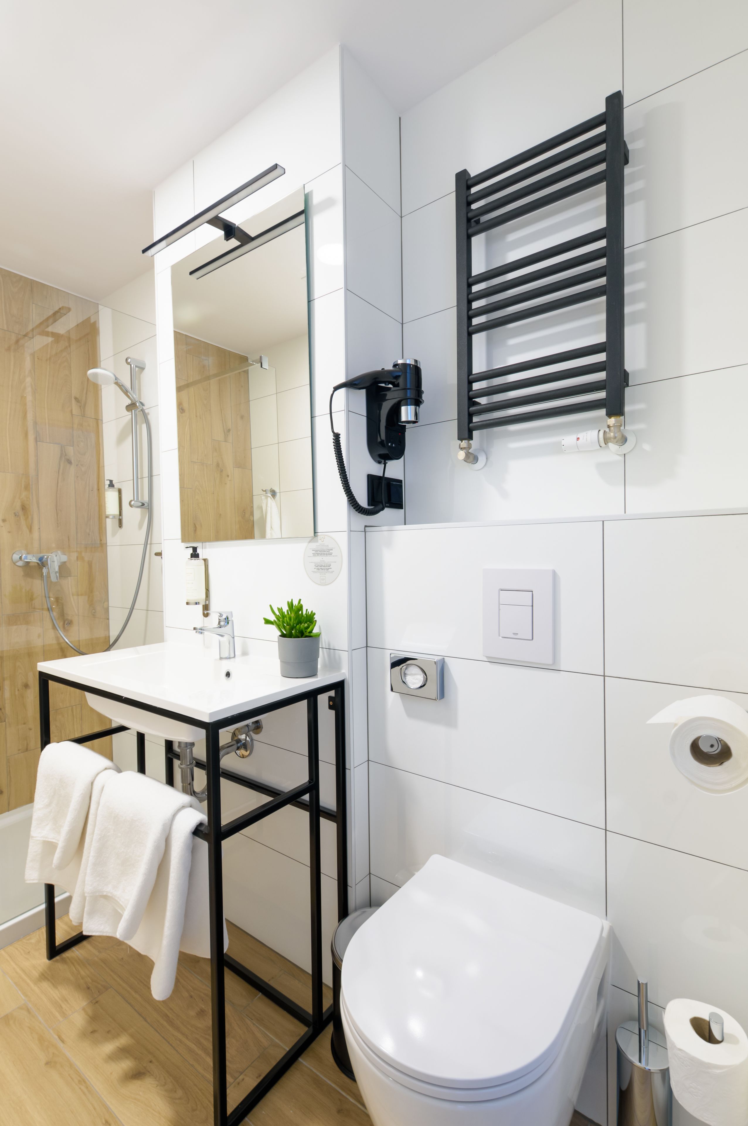 shower, free toiletries, hair dryer, towels