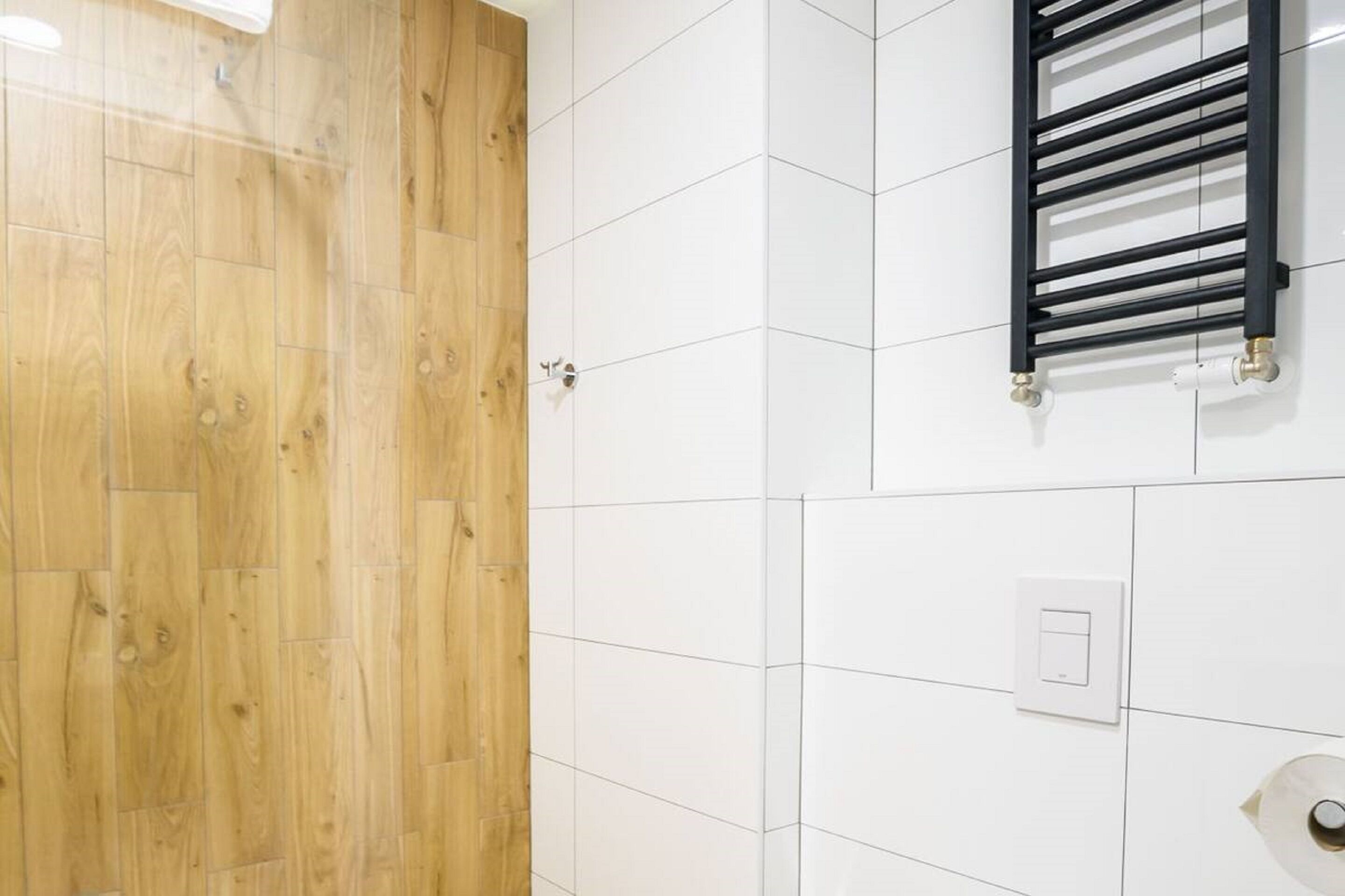 apartment | bathroom | shower, free toiletries, hair dryer, towels