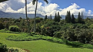 Un jardin aménagé avec des pelouses et des arbres parfaitement entretenus, un palmier et, au loin, une chaîne de montagnes.