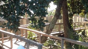 A wooden bridge with railings, surrounded by greenery and a fence. - Spacious Townhome W/Garage-5 Minute Walk to BEACH! Community Pool, Enjoy! (Panama City Beach)