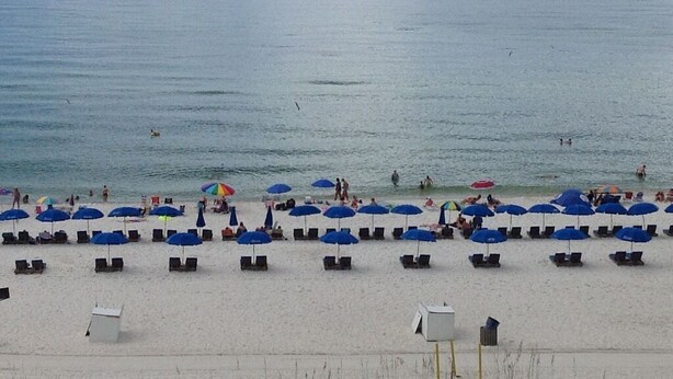 A beach with rows of blue umbrellas and lounge chairs. - Spacious Townhome W/Garage-5 Minute Walk to BEACH! Community Pool, Enjoy! (Panama City Beach)