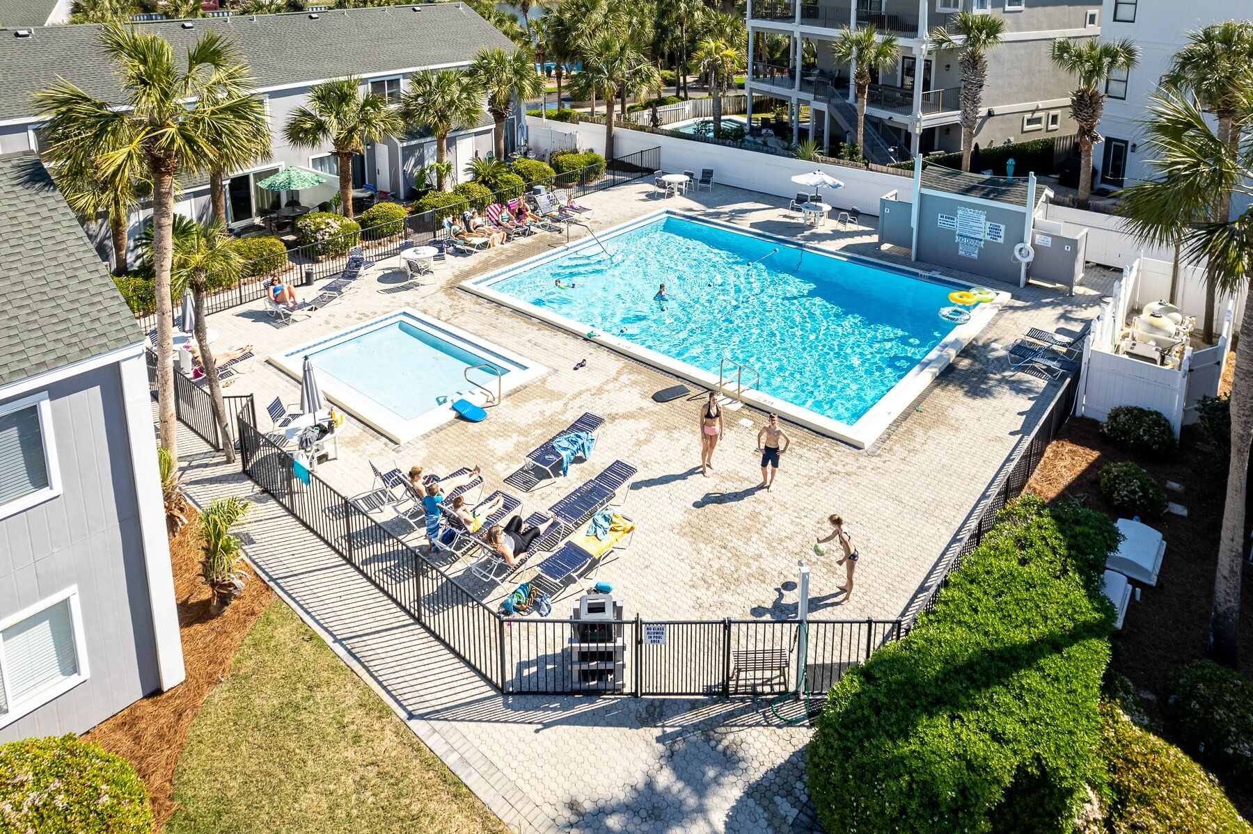 A rooftop swimming pool with multiple lounge areas and palm trees.