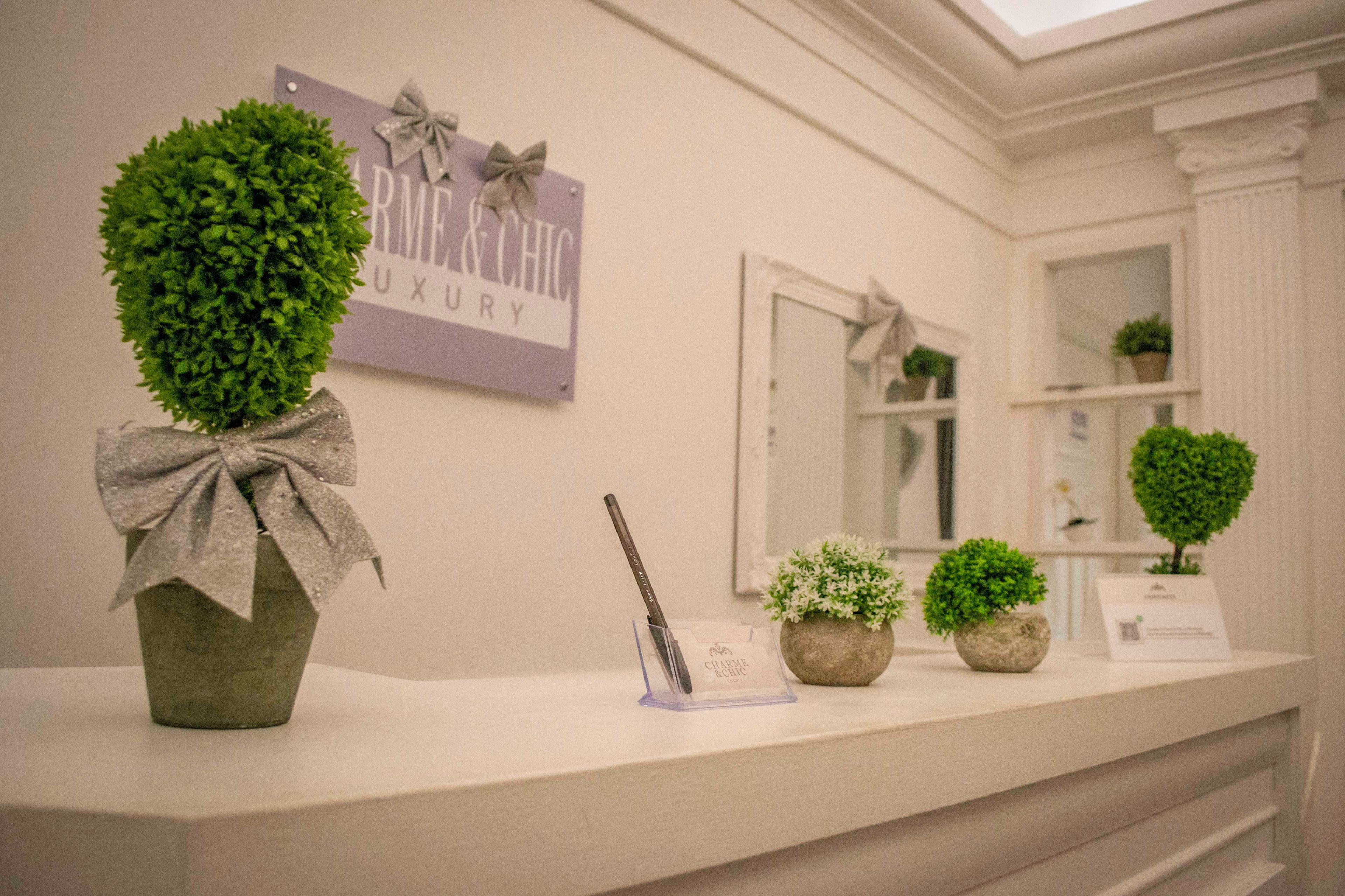 Un espace d’accueil avec une enseigne indiquant « ARM & CHIC LUXURY » et un miroir au-dessus d’un comptoir agrémenté de plantes en pot.