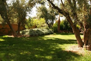 حديقة