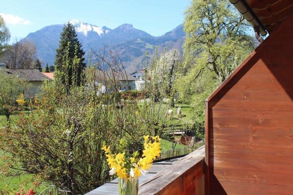 Double Room (Kuckuck) | Balcony view - Fetznhof Landpension (Grassau)