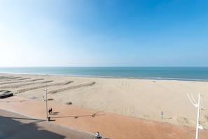 Una playa con un paseo pavimentado, un ciclista y una vista despejada del océano.