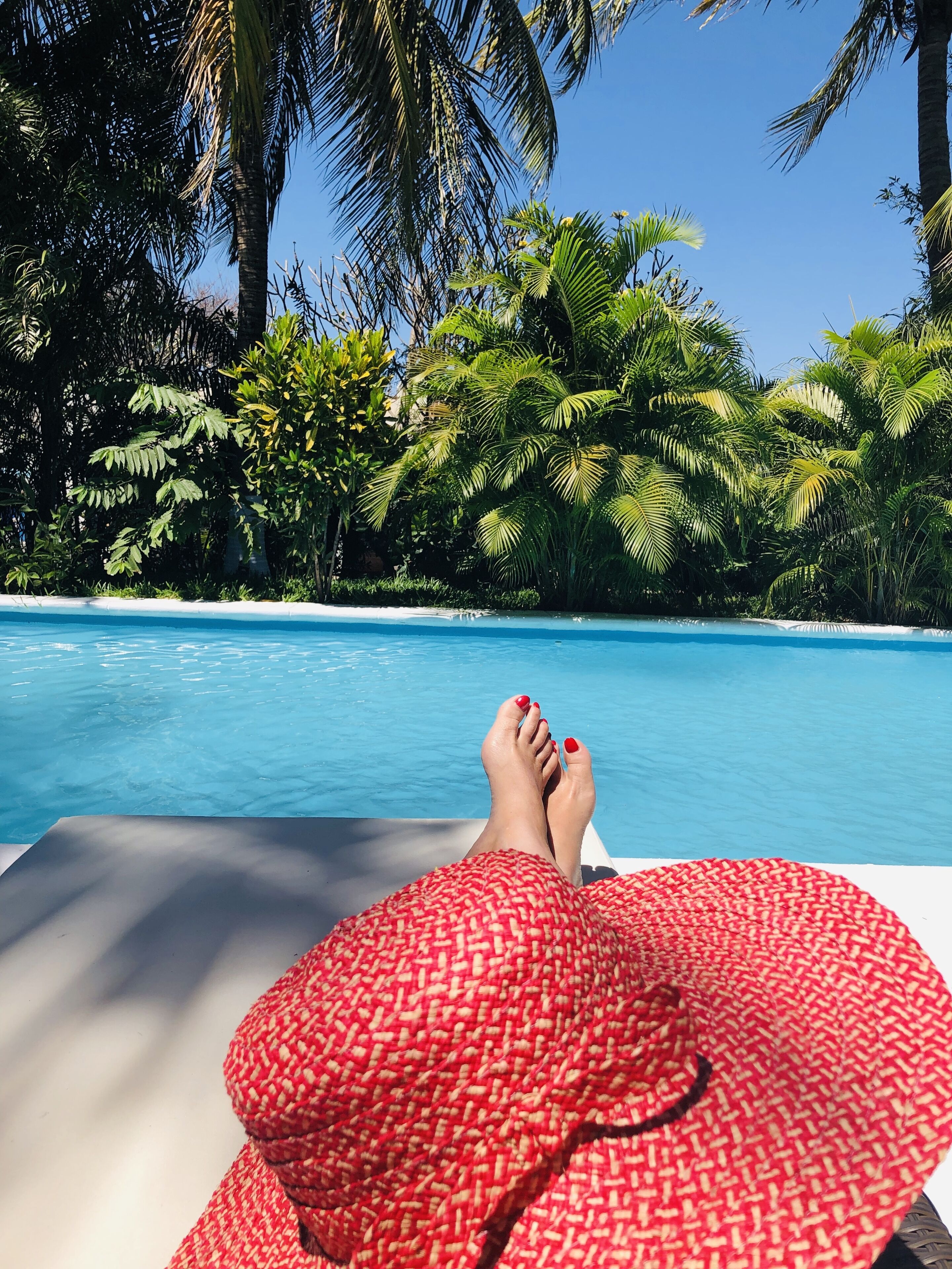 Outdoor pool, pool umbrellas, pool loungers