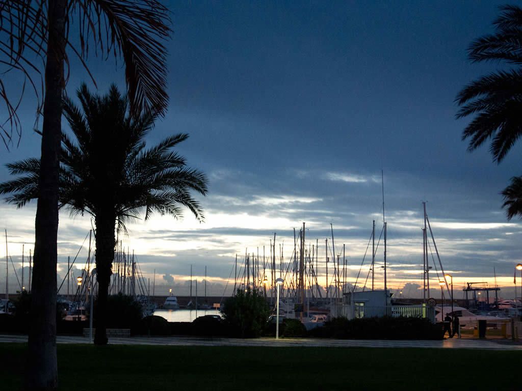 Una marina con barcos amarrados, palmeras y un atardecer al fondo.