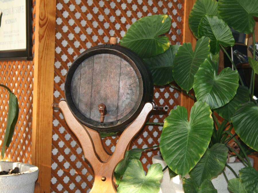 A wooden barrel mounted on a decorative stand with a metal latch, surrounded by large green leaves.