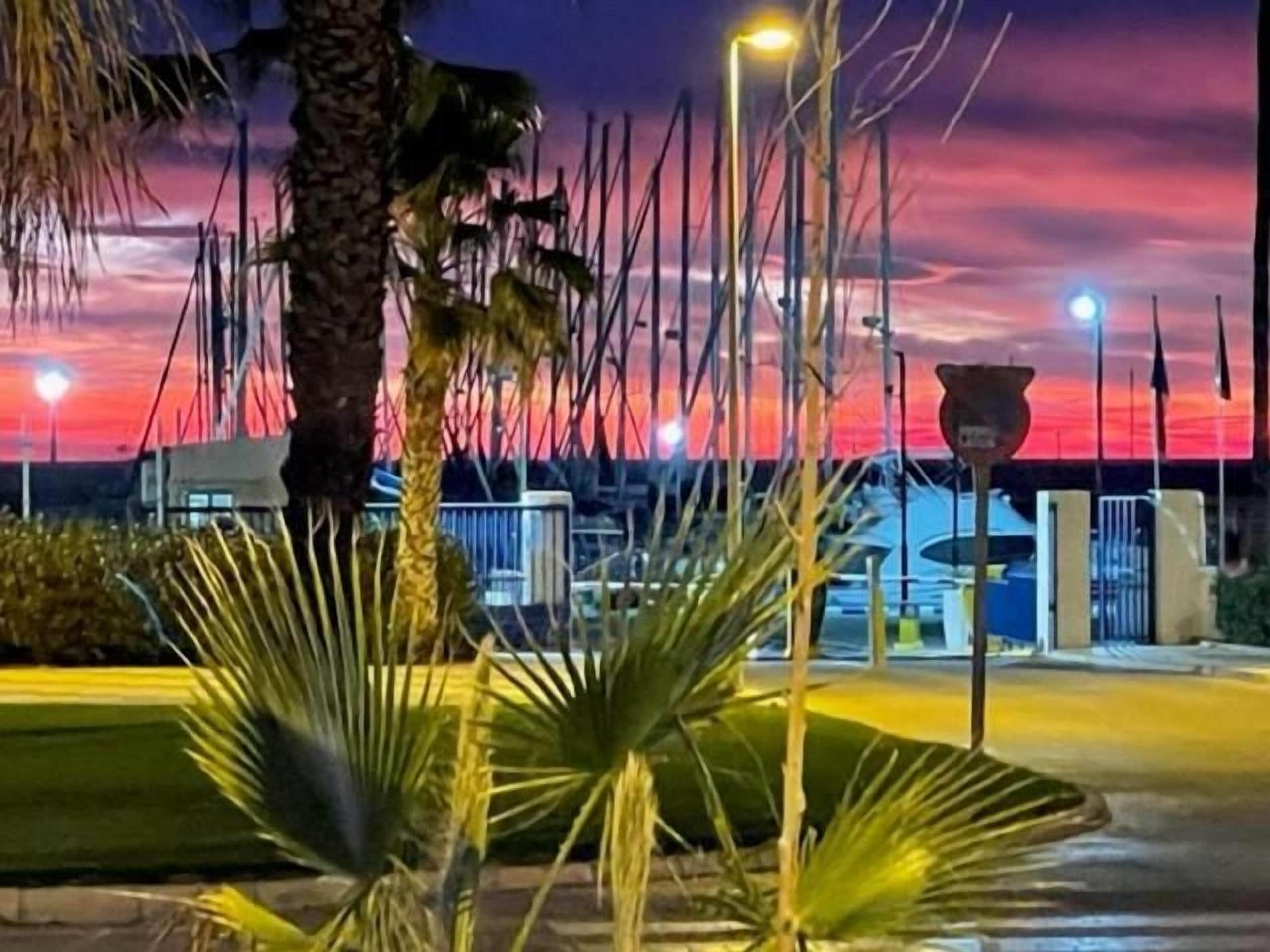 A marina with boats docked, palm trees, and a sunset in the background.