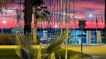 A marina with boats docked, palm trees, and a sunset in the background.