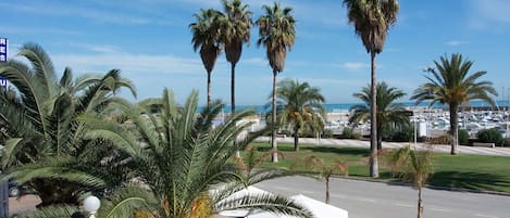 Un área de estar al aire libre con palmeras y sombrillas, una carretera al fondo y vista al mar.