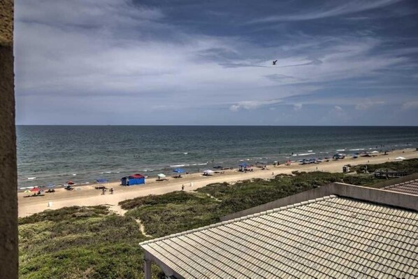 开间 | 海滩 | 在海滩