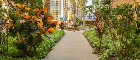 A pathway flanked by lush tropical plants leading to a hotel with a modern design and multiple floors.