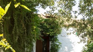 A stone-paved courtyard with a chair, a potted plant, and a white wall with a door. - Casa de Santa Cristina (Marco de Canaveses)