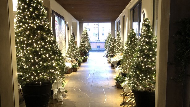 Un pasillo decorado con árboles de Navidad y luces, que lleva a una salida iluminada.