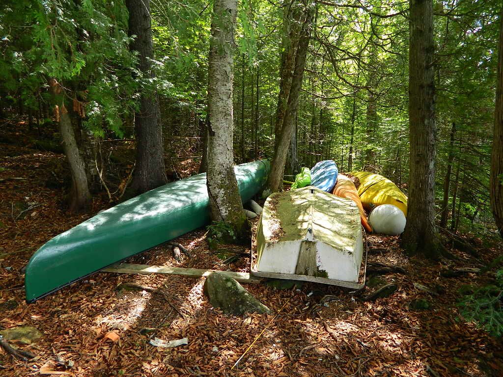 A forest with a canoe and a white container with a yellow object.