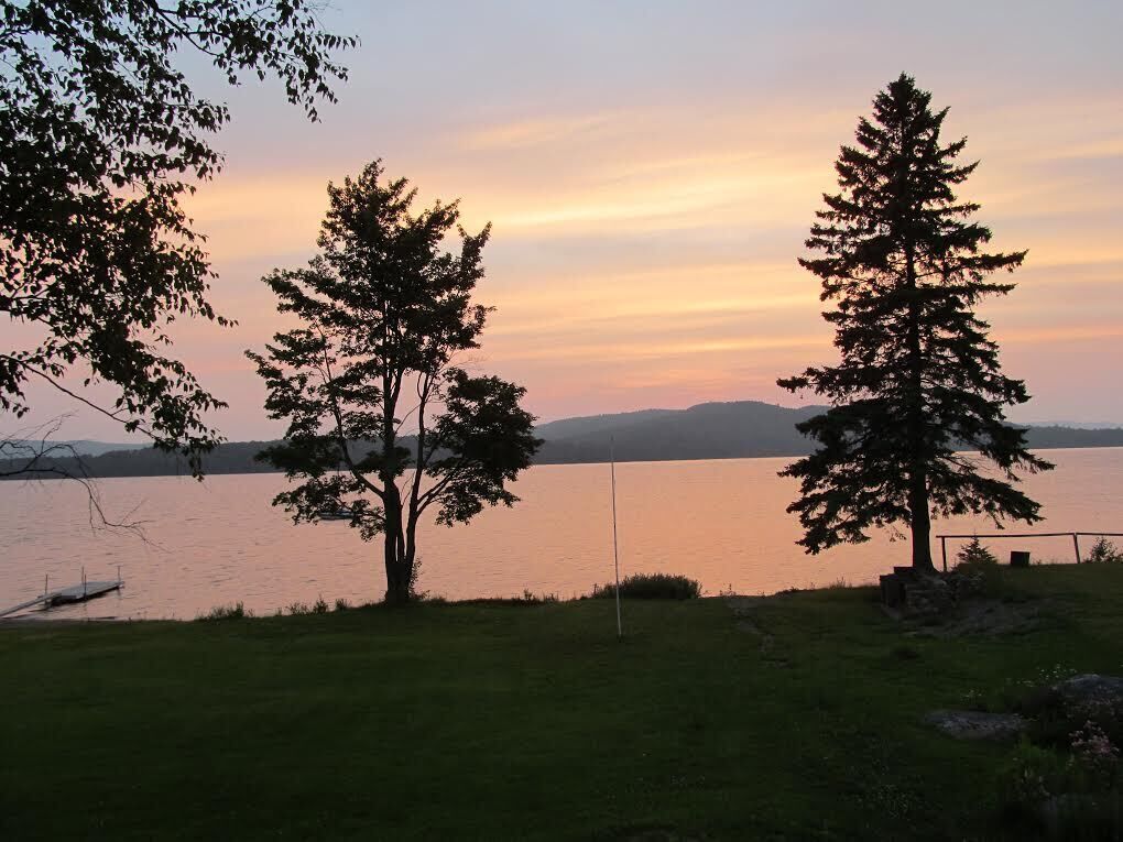 A lakeside view with three prominent trees and a calm water body.