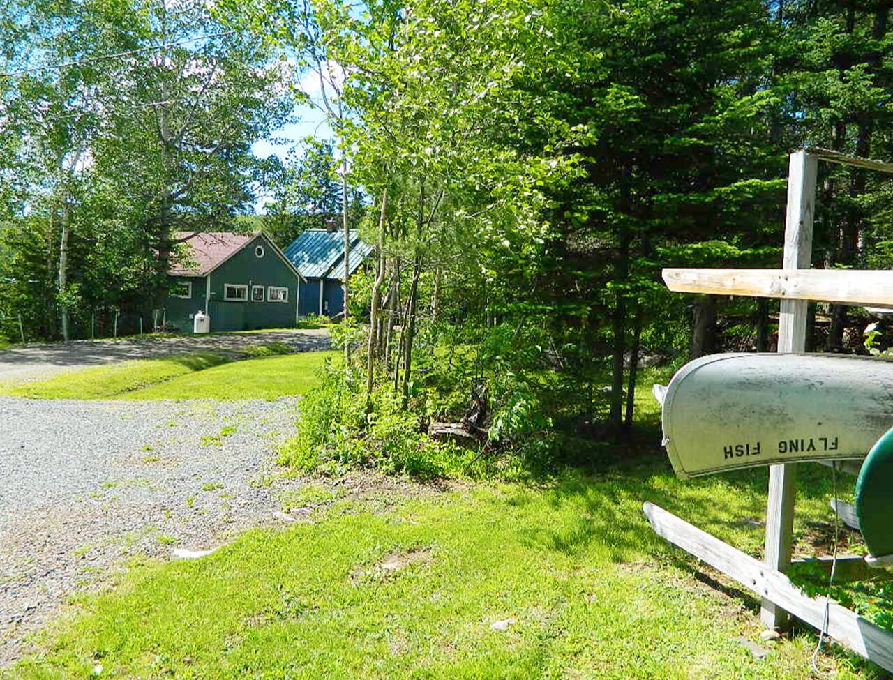 Une boîte aux lettres portant l’inscription « FISHING FLYING » se trouve dans un espace verdoyant, avec un chemin de gravier menant à un bâtiment.