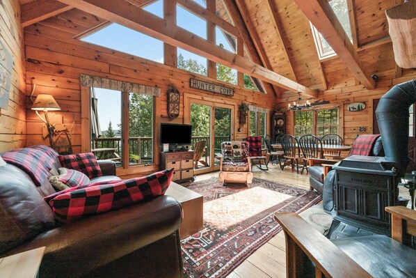 Televisión, chimenea y reproductor de DVD 