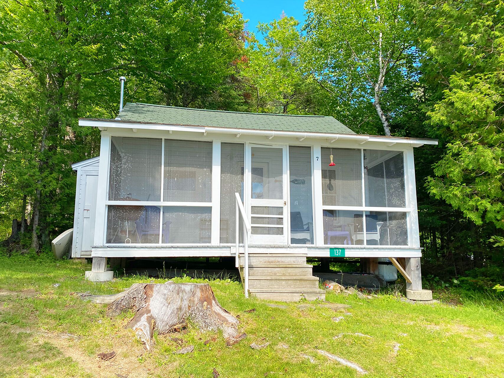 🐾Greenvale Cove 7 - Loon's Ruhe - Greenvale Cove on Rangeley Lake, dog friendly