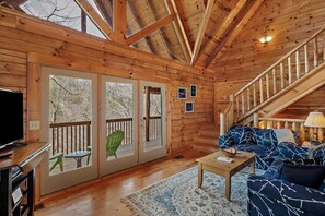 Télévision, cheminée, lecteur de DVD