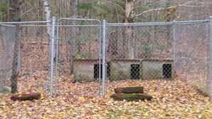 Un espace délimité par une clôture et doté d’un portail en métal, entouré d’arbres et jonché de feuilles mortes.