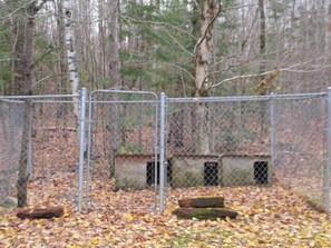 A fenced area with a metal gate, surrounded by trees and fallen leaves.