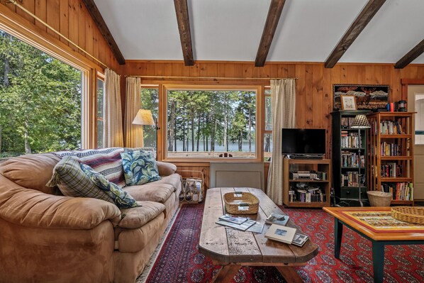 TV, fireplace, table tennis, books