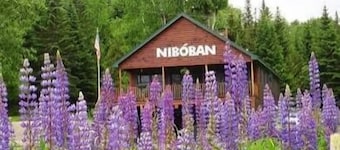 Niboban Cabin 7 - Nice cabin on Rangeley Lake in the Niboban cottage community