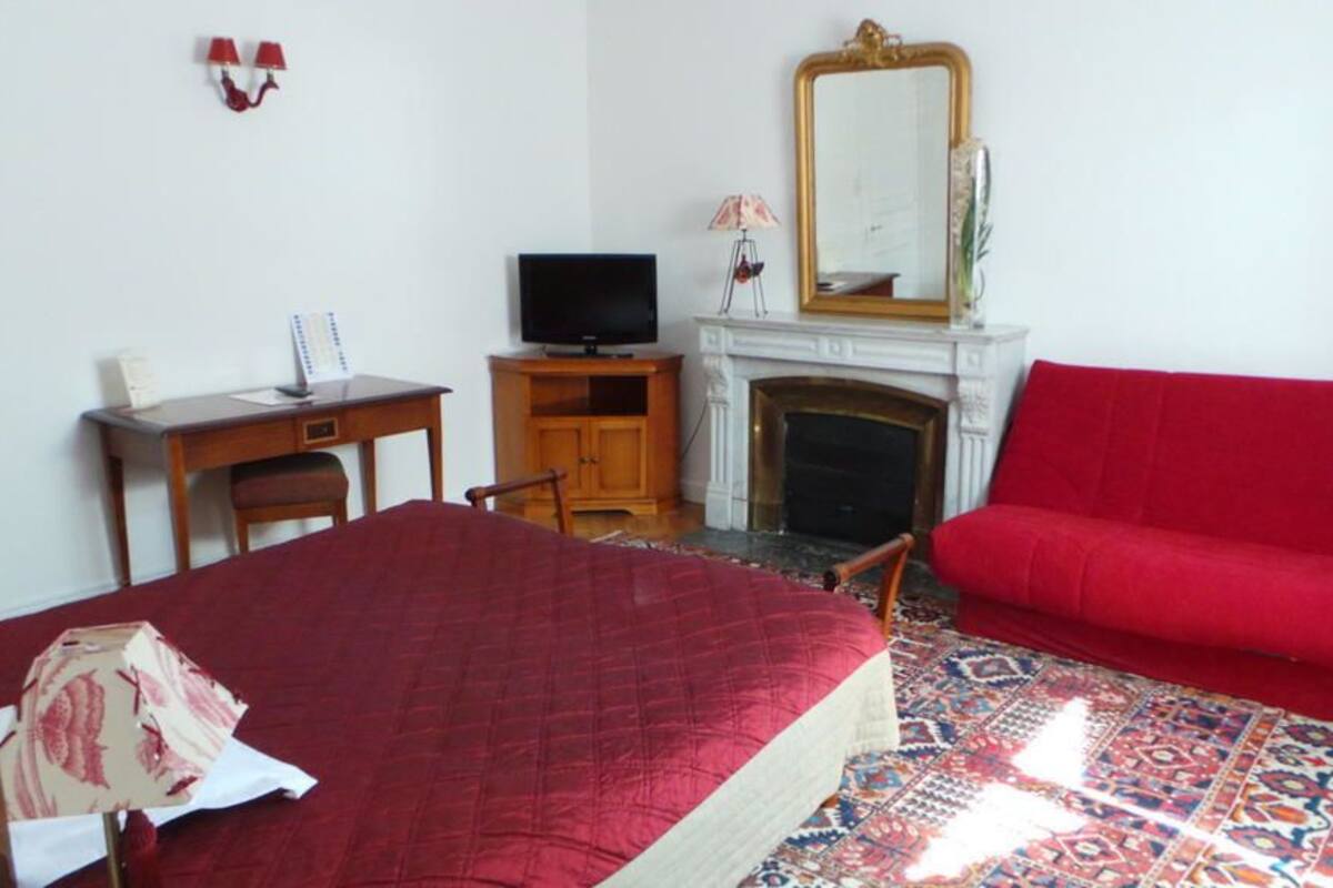 A bedroom with a bed, a red sofa, a television, a fireplace, and a patterned rug.