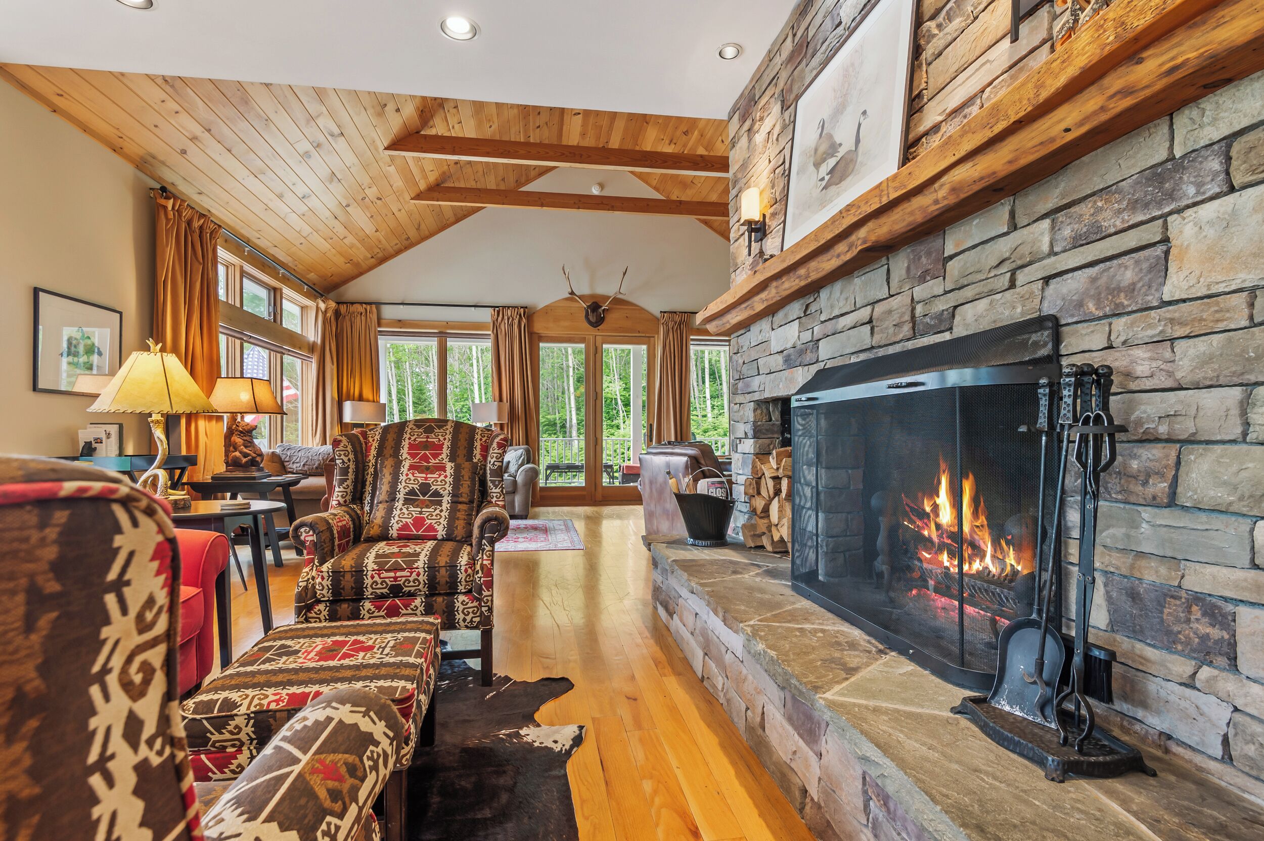 TV, fireplace, video games, DVD player