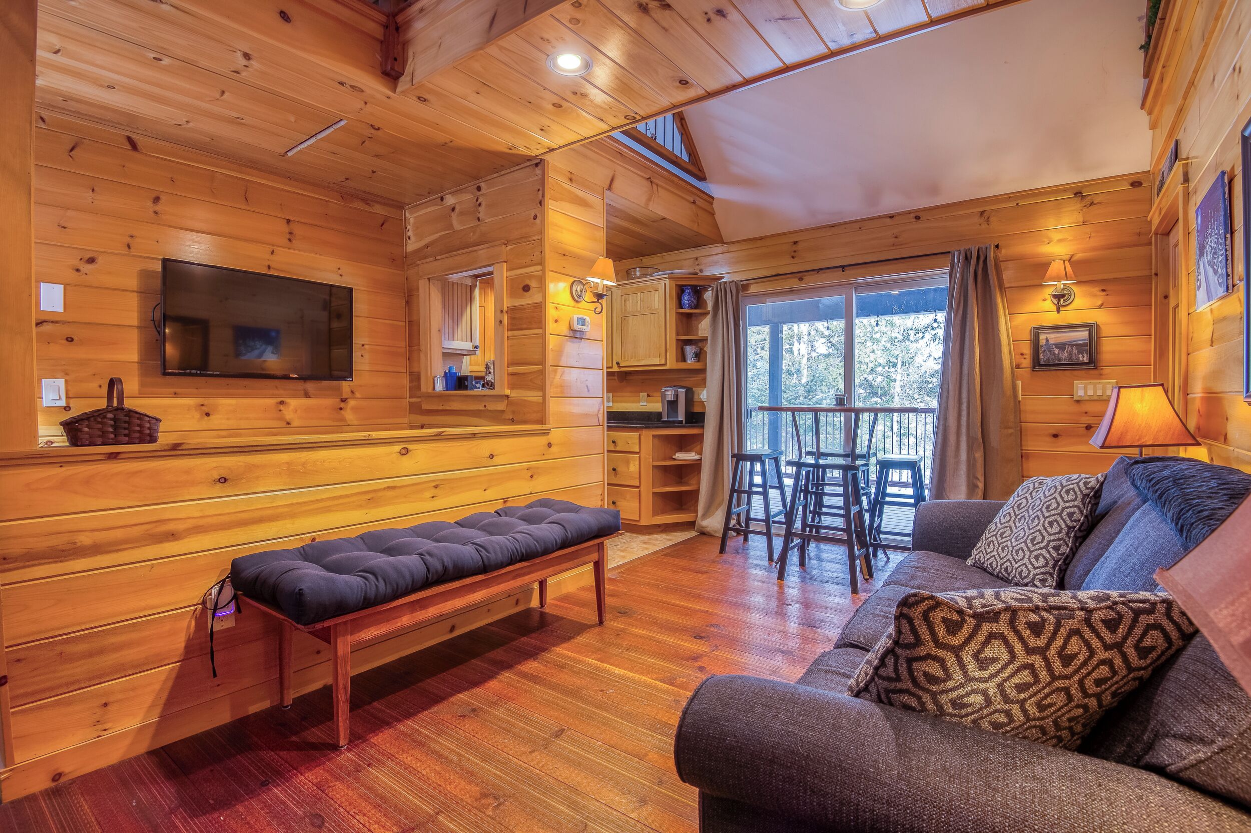 TV, fireplace, books