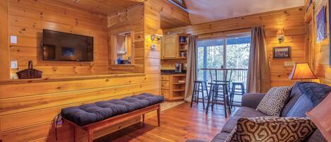 TV, fireplace, books