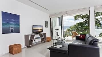 LED-televisio, DVD-soitin