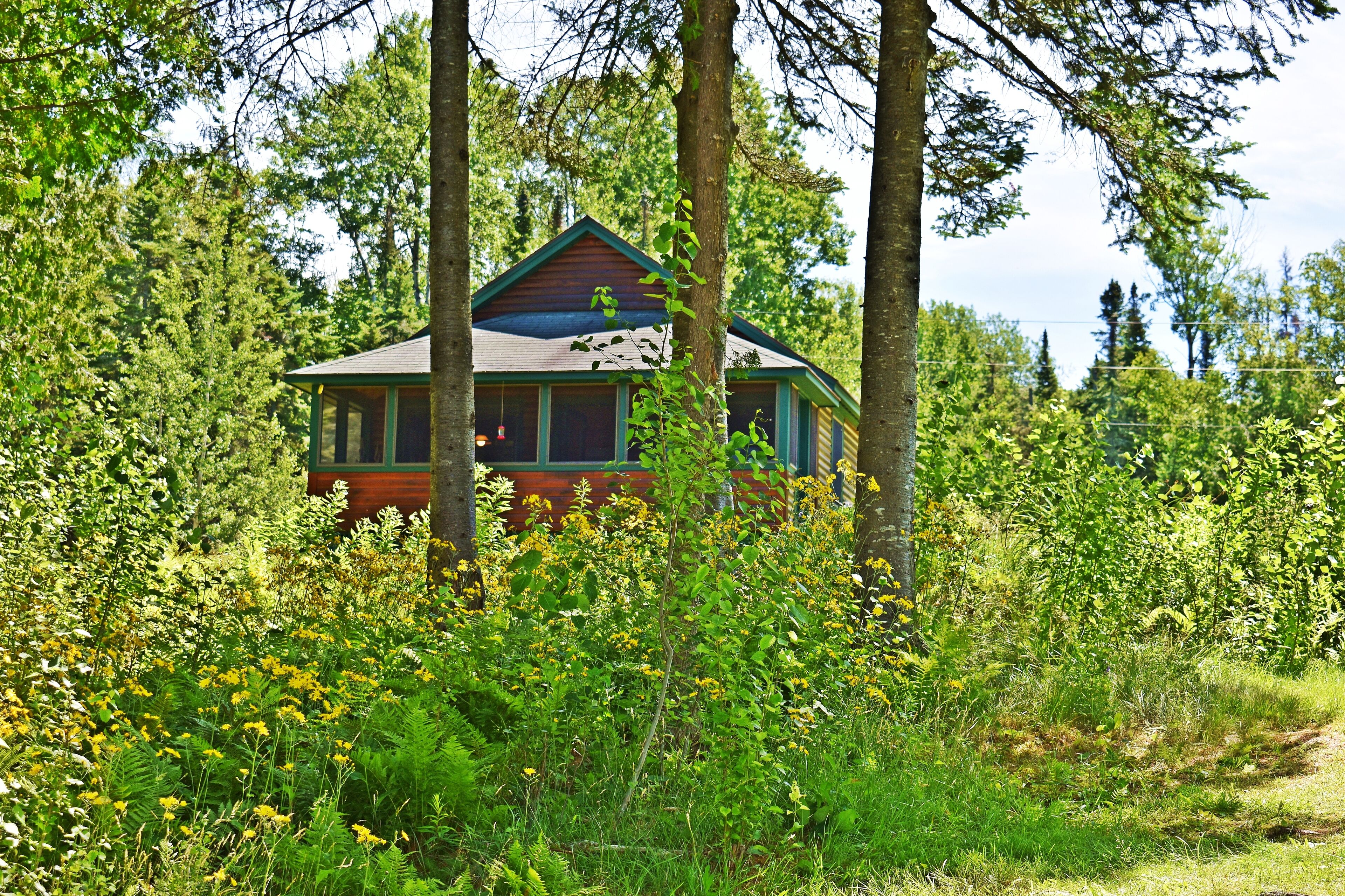 Niboban Cabin 2 - Cute Niboban Cabin on Rangeley Lake!