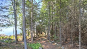 A forested area with a wooden cabin and a clear view of a lake. - Rock Ledge - Relax & Renew in turn-of-century log cabin with side cabin (Rangeley)